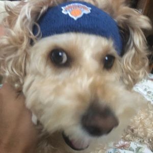 Meet your Posher, Eric